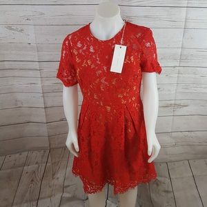 LUSH Red Embroidered Lace Sheath Dress Dd34